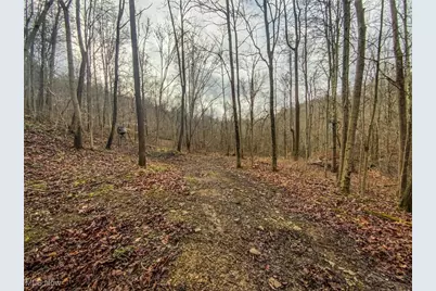 0 New Cut Rd, Shadyside, OH 43947 - Photo 17
