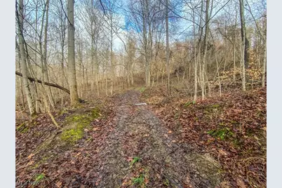 0 New Cut Rd, Shadyside, OH 43947 - Photo 11