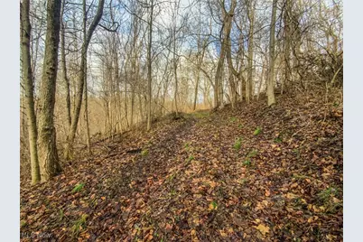 0 New Cut Rd, Shadyside, OH 43947 - Photo 9
