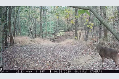 Perl Road, Chandlersville, OH 43727 - Photo 29