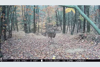 Perl Road, Chandlersville, OH 43727 - Photo 5