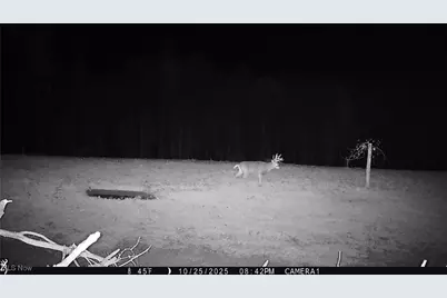 Perl Road, Chandlersville, OH 43727 - Photo 27