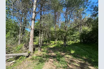 Perl Road, Chandlersville, OH 43727 - Photo 43