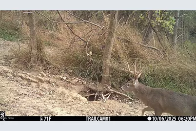 Perl Road, Chandlersville, OH 43727 - Photo 7