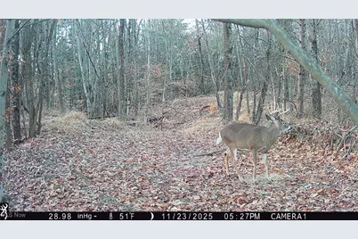 Perl Road, Chandlersville, OH 43727 - Photo 33