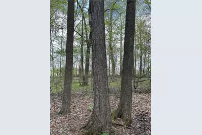 7610 State Route 309, Galion, OH 44833 - Photo 21