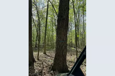 7610 State Route 309, Galion, OH 44833 - Photo 19