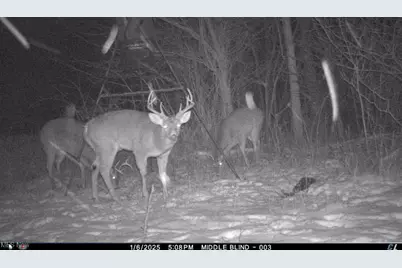 7610 State Route 309, Galion, OH 44833 - Photo 35