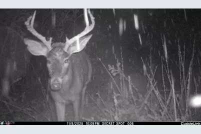 7610 State Route 309, Galion, OH 44833 - Photo 31