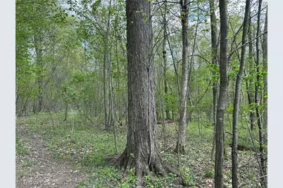 7610 State Route 309, Galion, OH 44833 - Photo 3