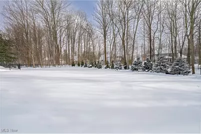 17421 Rambling Creek Trail, Chagrin Falls, OH 44023 - Photo 49