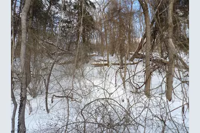 477 W 39th Street, Shadyside, OH 43947 - Photo 35