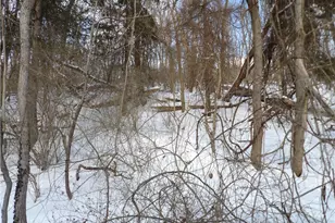 477 W 39th St, Shadyside, OH 43947 - Photo 35