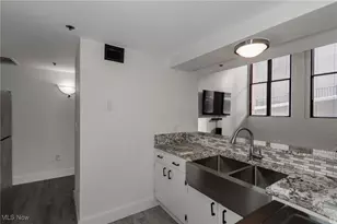 1133 W 9th St, Loveland, OH 44113 - Photo 9