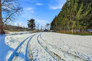 2430 S Hametown Rd, Norton, OH 44203 - Photo 45