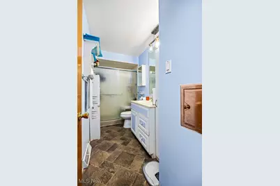 1115 Birch Lane, Loveland, OH 44109 - Photo 19