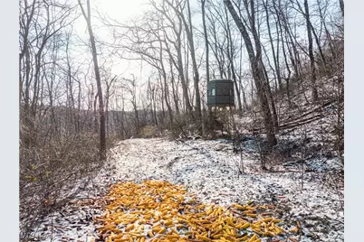 Clay Pike, Chandlersville, OH 43727 - Photo 29