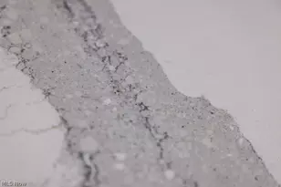 16831 Ravenna Rd, Chagrin Falls, OH 44023 - Photo 13