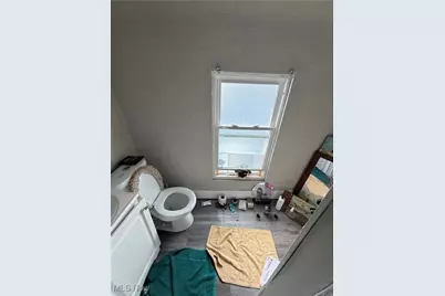 3841 W 39th Street, Loveland, OH 44109 - Photo 43