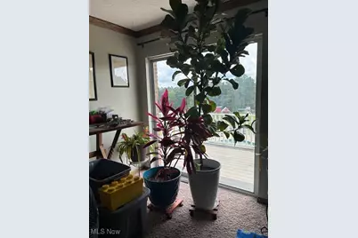 590 Stony Run Road, Beverly, OH 45715 - Photo 21