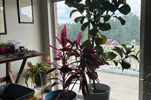 590 Stony Run Rd, Beverly, OH 45715 - Photo 21