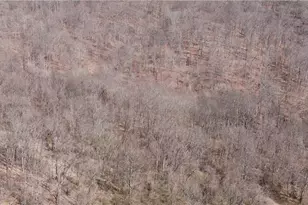 19656 Mill School Rd, , OH 45735 - Photo 5