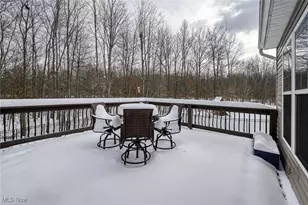 3910 Willow Way, Kent, OH 44240 - Photo 37