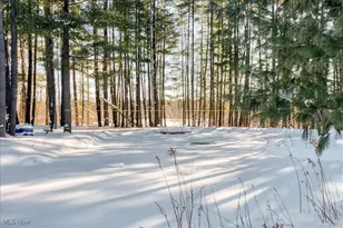 11425 Clearfield Ln, Chardon, OH 44024 - Photo 49