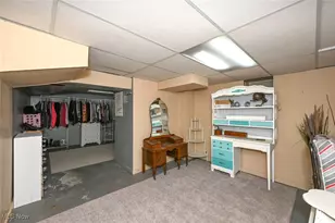 1810 Carter Ave, Akron, OH 44301 - Photo 29