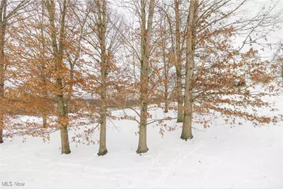 3640 NW Hope Road, Magnolia, OH 44643 - Photo 27