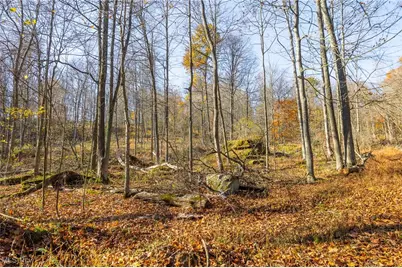 26560 County Road 24, Coshocton, OH 43812 - Photo 33