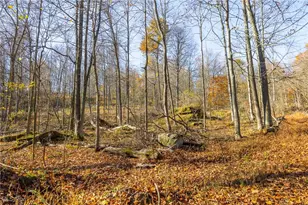 26560 Co Rd 24, Coshocton, OH 43812 - Photo 33