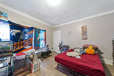 1368 West Boulevard, Loveland, OH 44102 - Photo 21