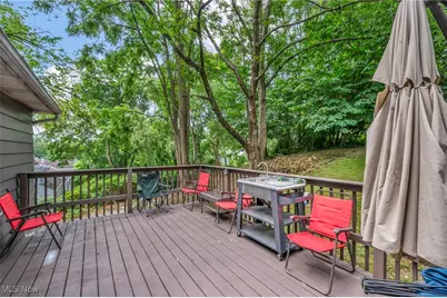 412 Stevenson Avenue, Akron, OH 44312 - Photo 19