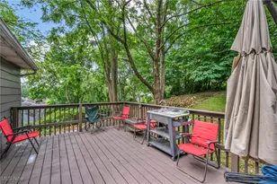 412 Stevenson Ave, Akron, OH 44312 - Photo 19