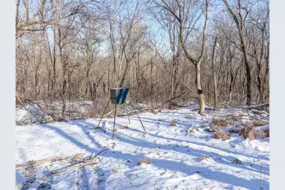 0 Twp Rd 158, West Lafayette, OH 43845 - Photo 11