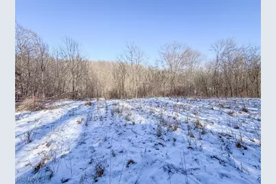 0 Twp Rd 158, West Lafayette, OH 43845 - Photo 9