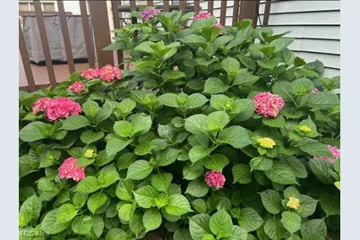 820 Lawrence Drive, Wadsworth, OH 44281 - Photo 35