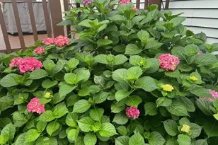 820 Lawrence Dr, Wadsworth, OH 44281 - Photo 35