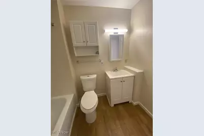 3322 Daisy Avenue, Loveland, OH 44109 - Photo 17