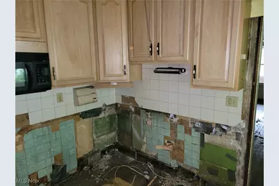 16918 Grovewood Avenue, Loveland, OH 44110 - Photo 13