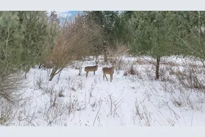 1117 County Road 2075, Ashland, OH 44805 - Photo 11