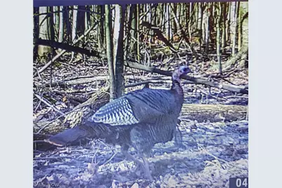 4852 White Road, Rock Creek, OH 44084 - Photo 43