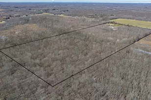 4852 White Rd, Rock Creek, OH 44084 - Photo 39