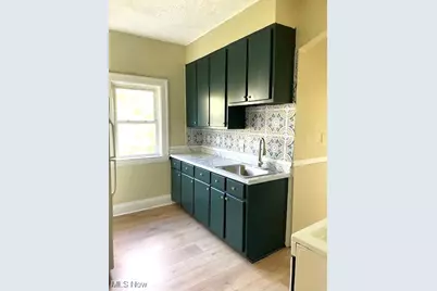 957 E 143rd Street, Loveland, OH 44110 - Photo 13