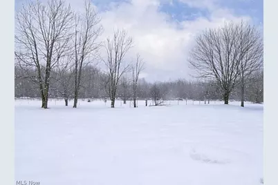 6615 Clay Street, Thompson, OH 44086 - Photo 41