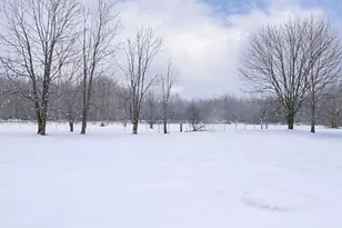 6615 Clay St, Thompson, OH 44086 - Photo 41