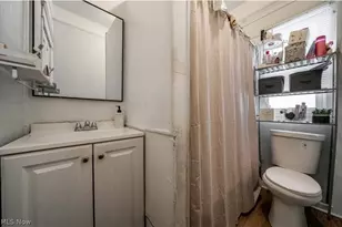 1161 Norwood Rd, Loveland, OH 44103 - Photo 11