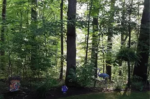 940 Trimble Pl, Sagamore Hills, OH 44067 - Photo 41