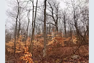 Heston Road, Kimbolton, OH 43749 - Photo 5